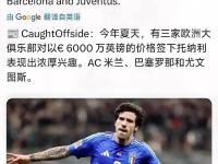 开云体育APP下载-意大利新秀球员在训练中受伤，或退出赛季的简单介绍