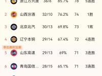 开云体育官网-山东血拼取胜，积分榜节节攀升