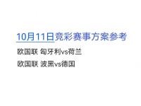 开云官网-法国客场战平波黑，保持不败记录