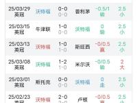 开云下载-关于沃特福德客场落败，降级形势堪忧的信息