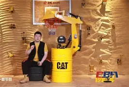熟视无睹！球员技术细节挖掘揭秘黑幕的简单介绍