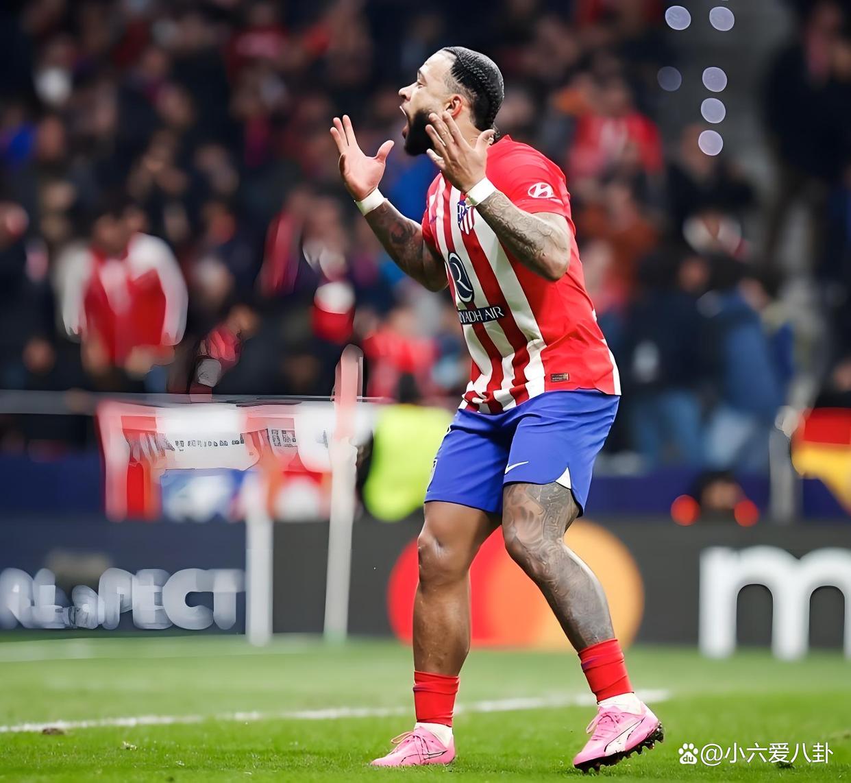 关于土耳其横扫塞内加尔,范佩西惊艳世界的信息 关于土耳其横扫塞内加尔,范佩西惊艳世界的信息